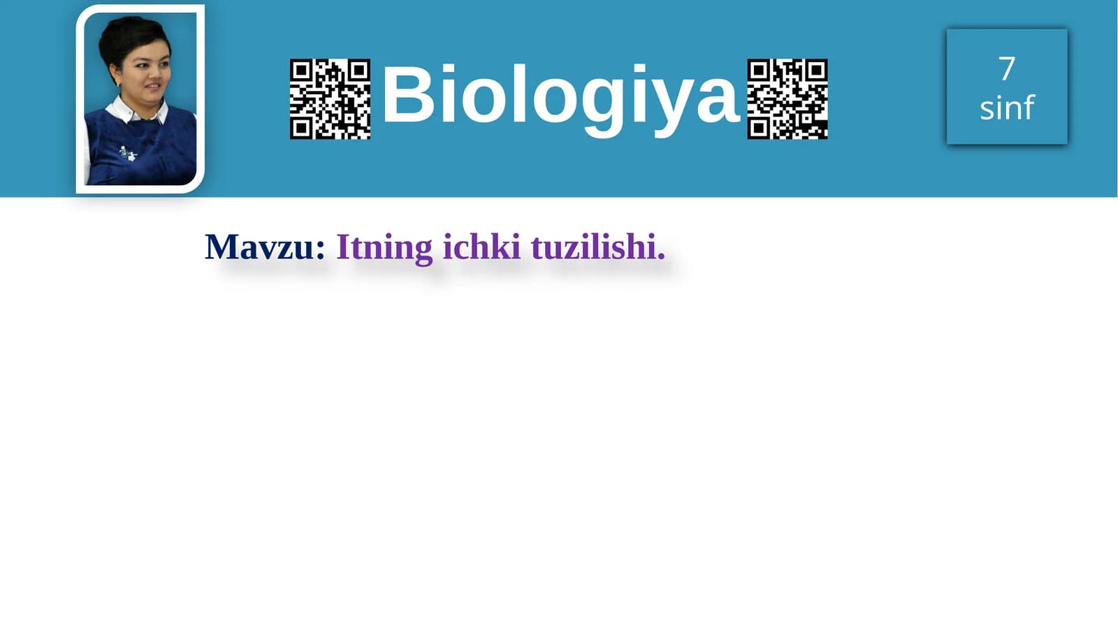 Itning ichki tuzilishi