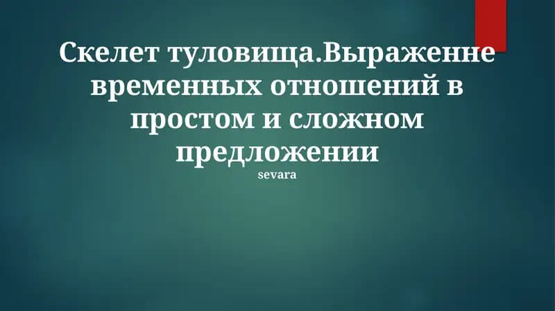 Скелет туловища