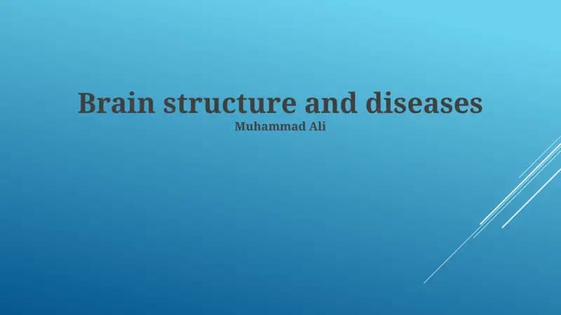 Brain structure and diseases