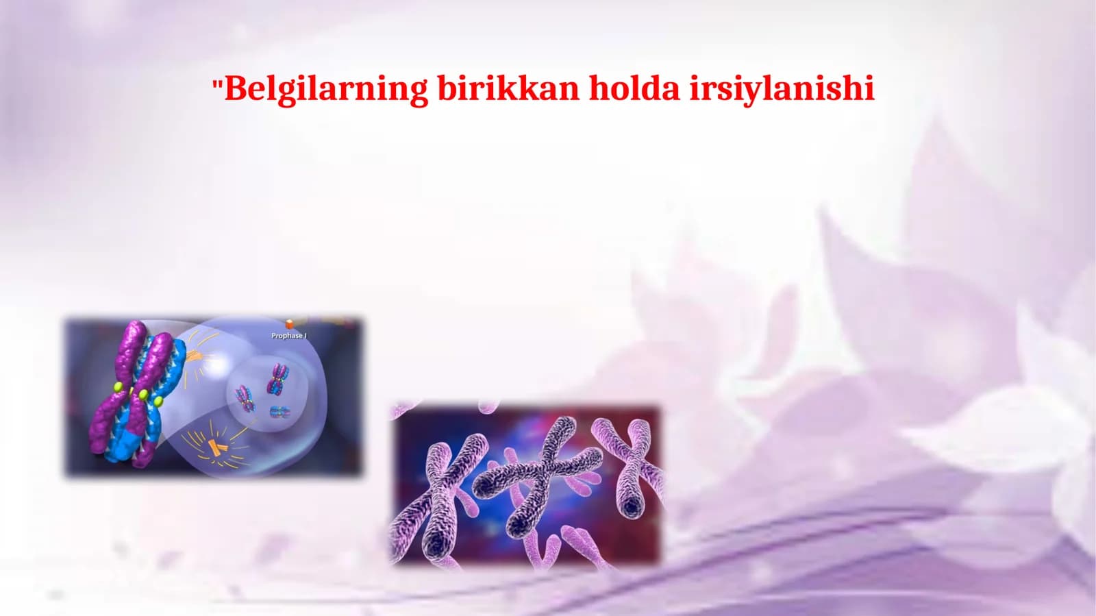 Xromosomalar va jinsning birikkan holdairsi