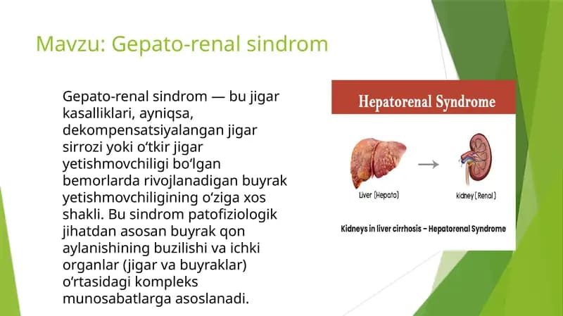Gepato-renalsindrom