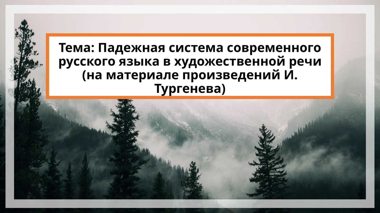 Падежная система современного русского языка в художественной речи (на материале произведений И. Тургенева)