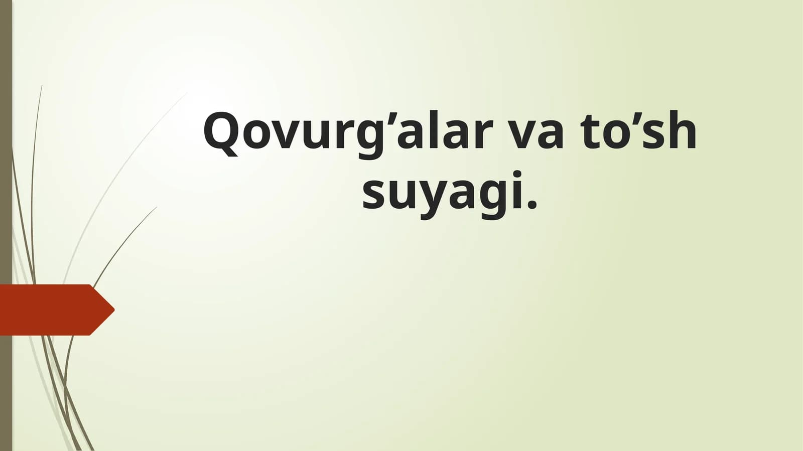 Qovurg’alar va to’sh suyagi