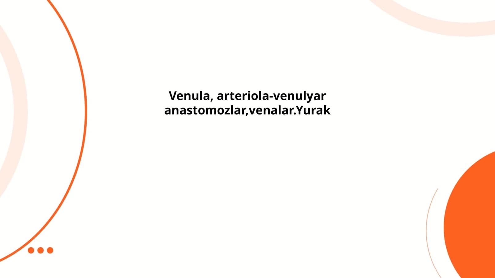 Yurak Anatomiyasi
