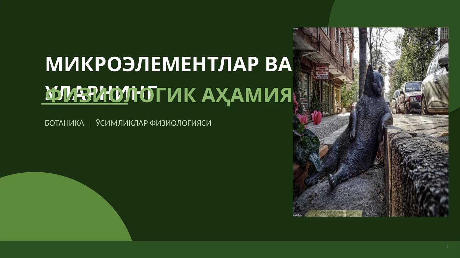 МИКРОЭЛЕМЕНТЛАР ВА УЛАРНИНГ ФИЗИОЛОГИК АҲАМИЯТИ