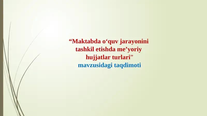Maktabdao'quvjarayonini tashkiletishdame'yoriy hujjatlari