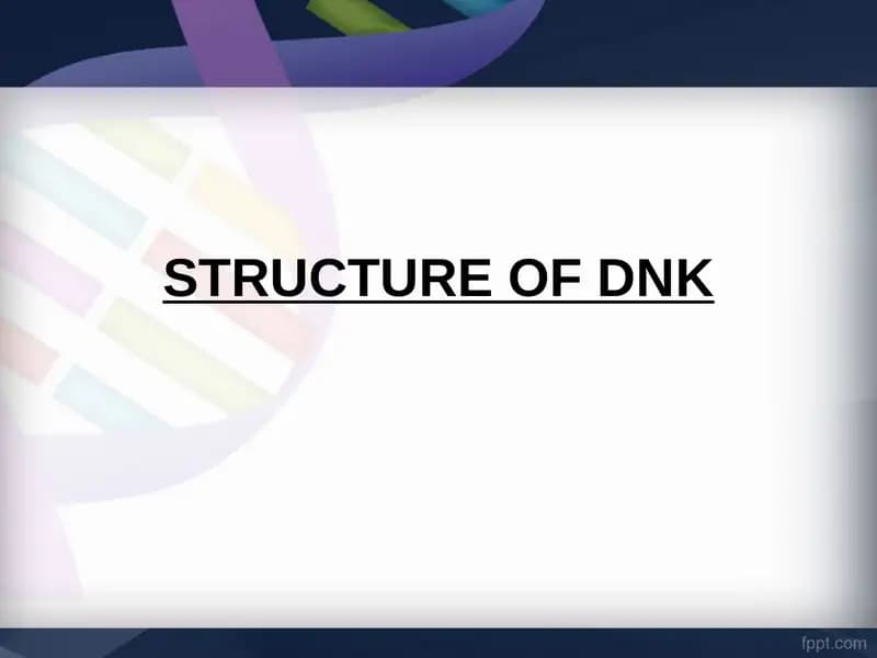 DNA Structure