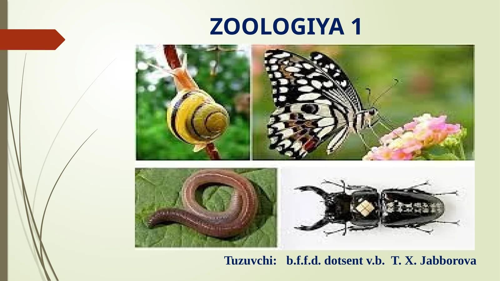 ZOOLOGIYA 1