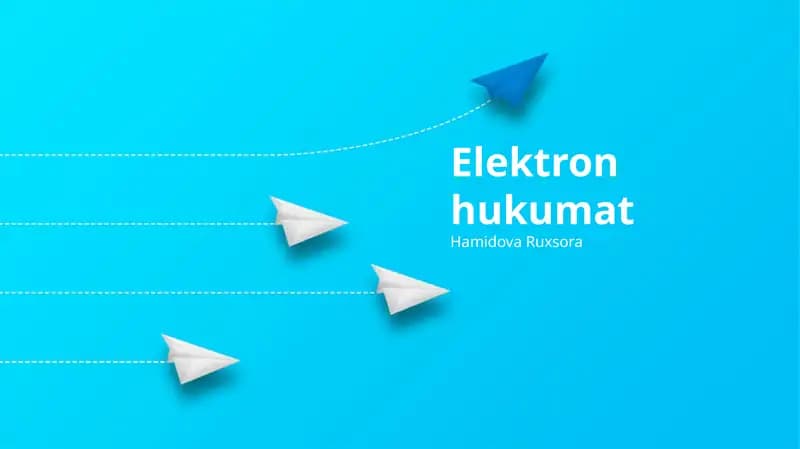 Elektron hukumat