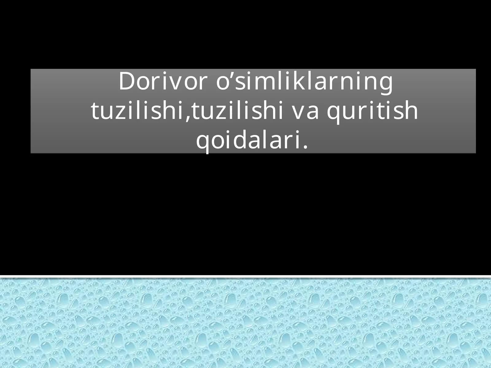 Zirk qoraqand