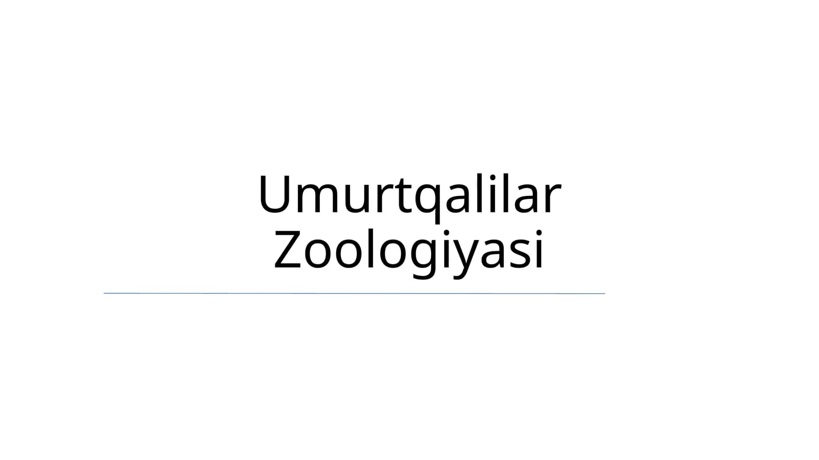 Umurtqalilar Zoologiyasi