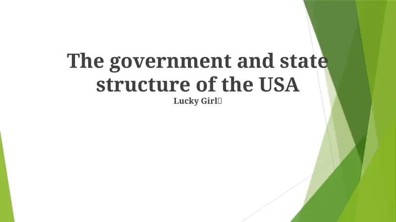 The government and state structure of the USA