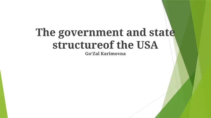 The government and state structureof the USA