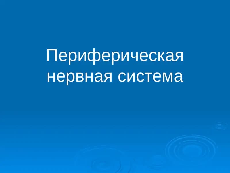 Периферическая нервная система
