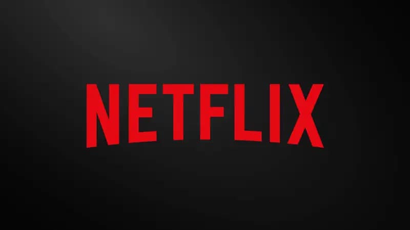 Netflix foyda va zarar bahosi || Taqdimot