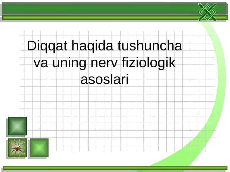 Diqqat haqida tushuncha
