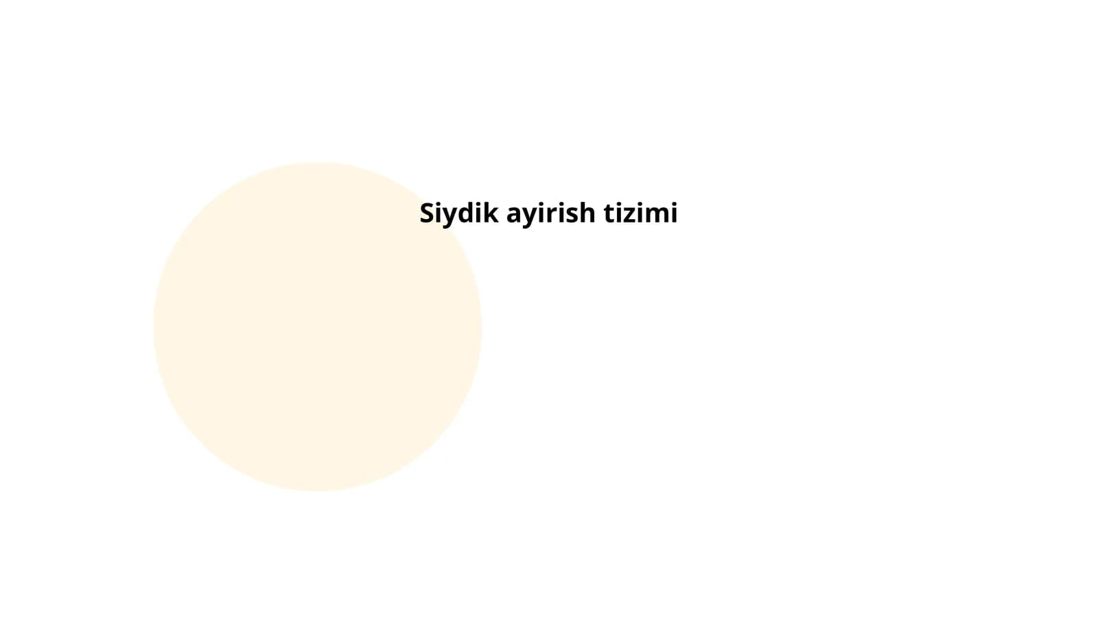 Siydik Ajratish Tizimi