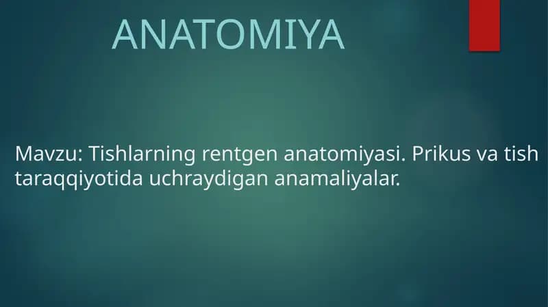 Tishlarning rentgenanatomiyasi