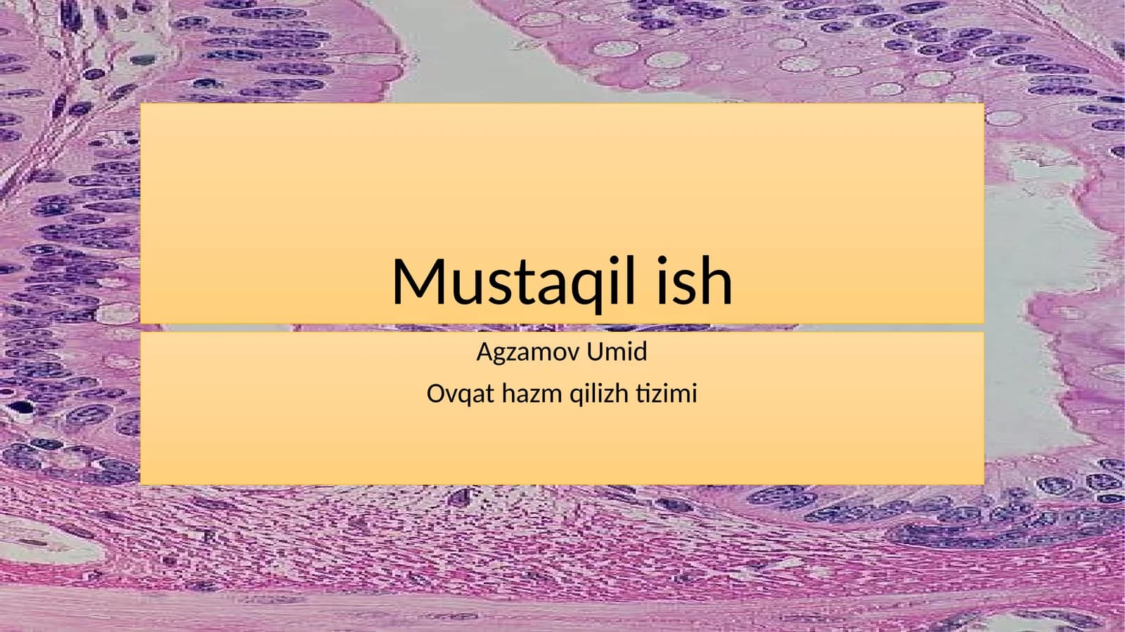 Ovqathazm qilish tizimi