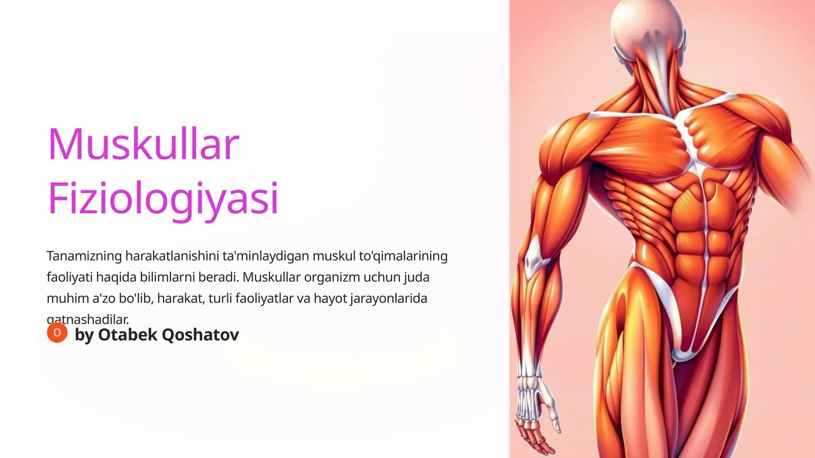 Muskullar Fiziologiyasi