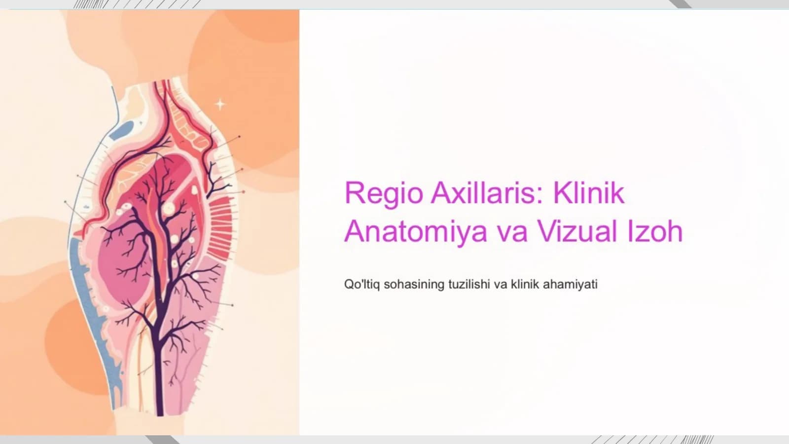 Qo'ltiq sohasi: Klinik anatomiya va ahamiyati