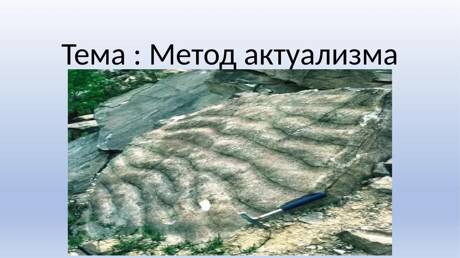 Метод актуализма