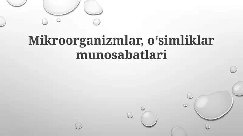 Rizosfera mikroorganizmlari