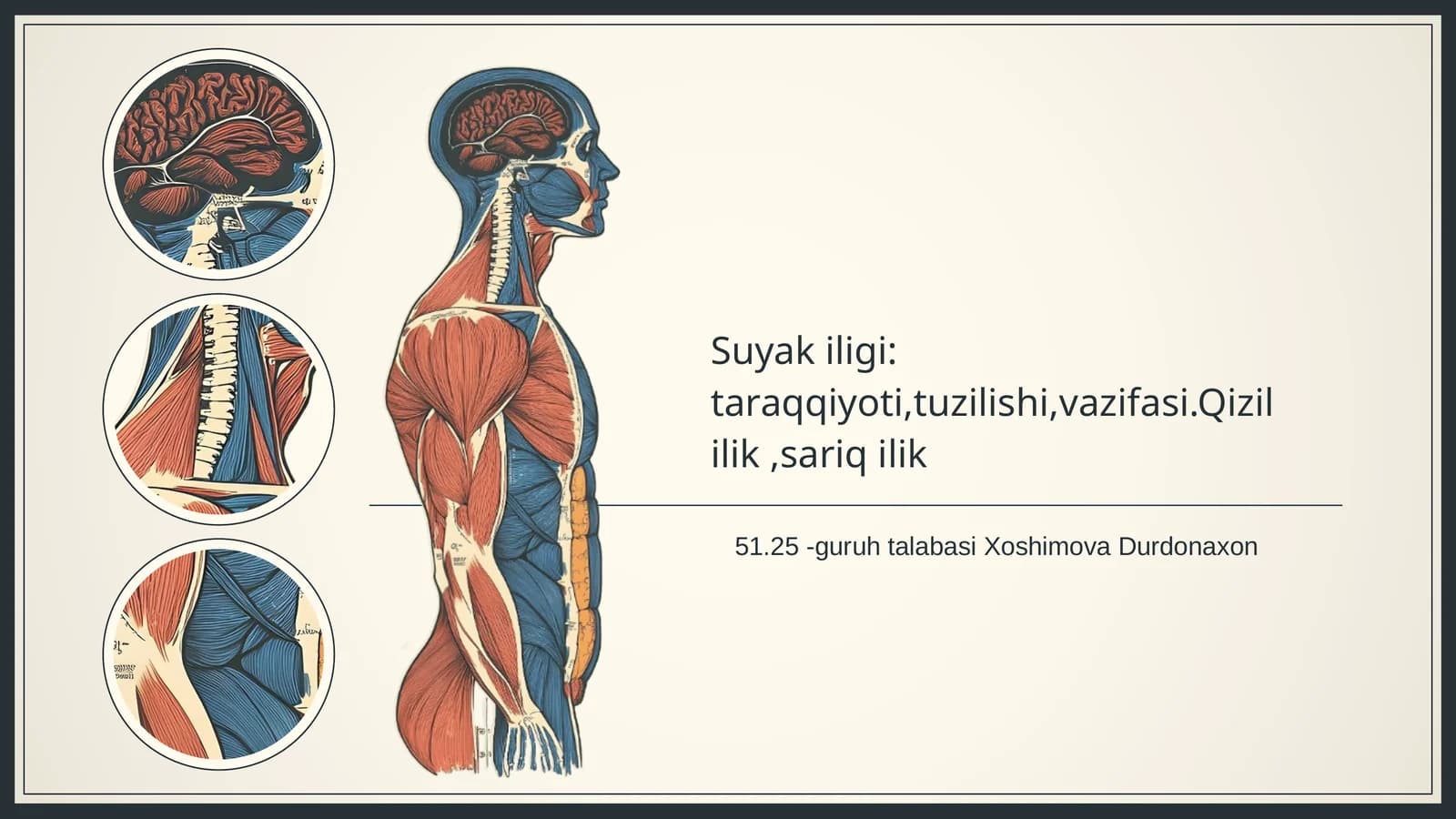 Suyak iligi tahlili