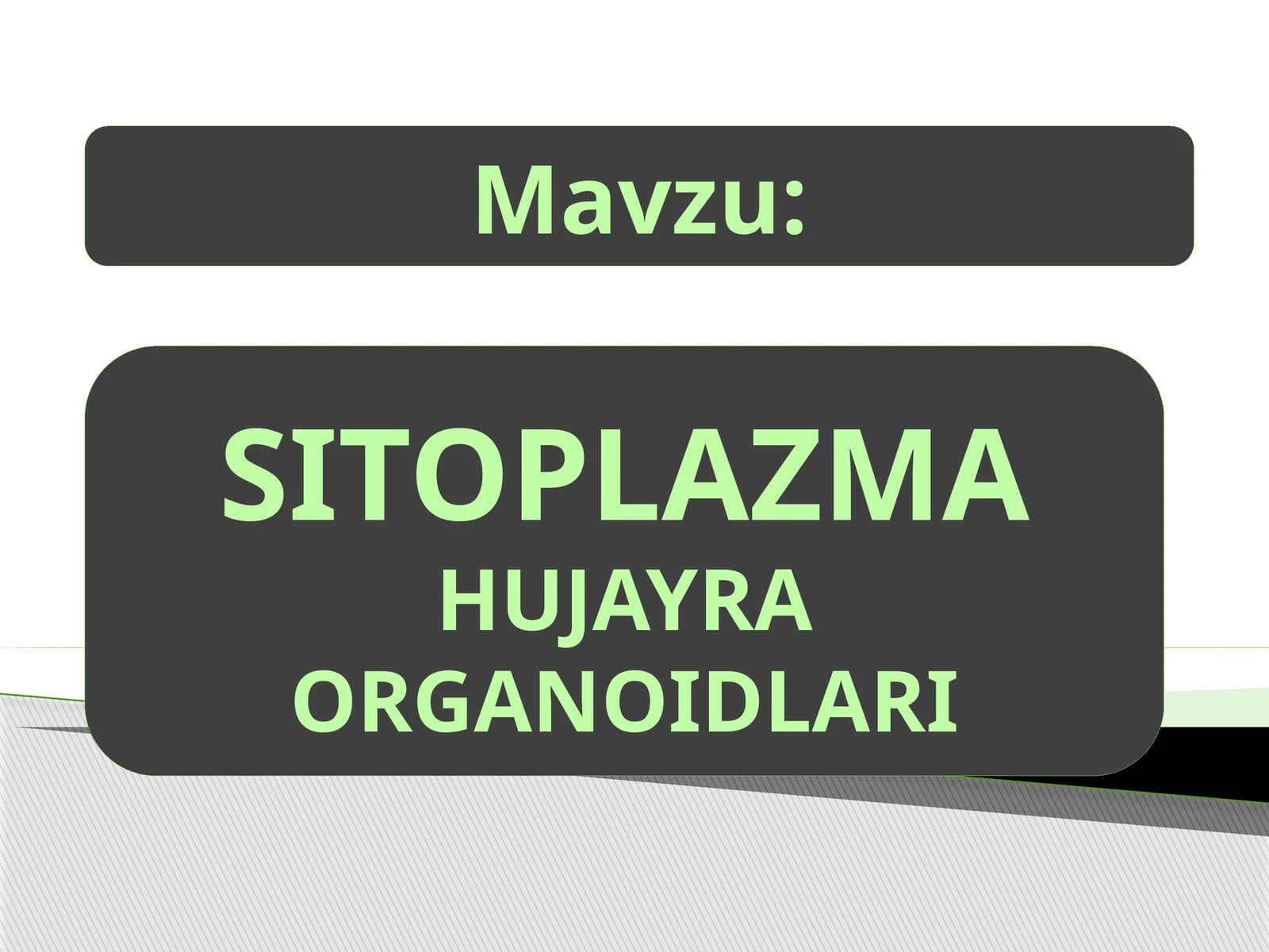 Sitoplazma va organoidlar