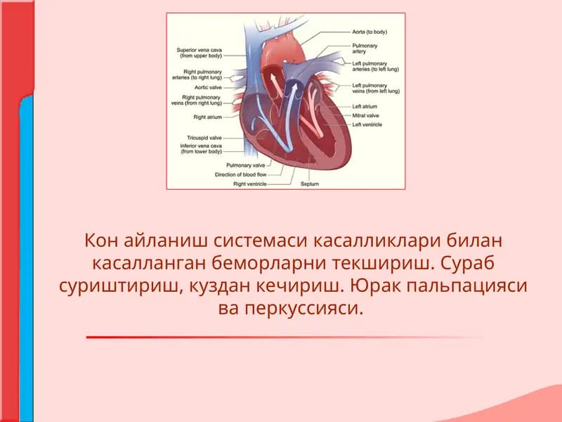 QON AYLANISH SISTEMASI KASALLIKLARI