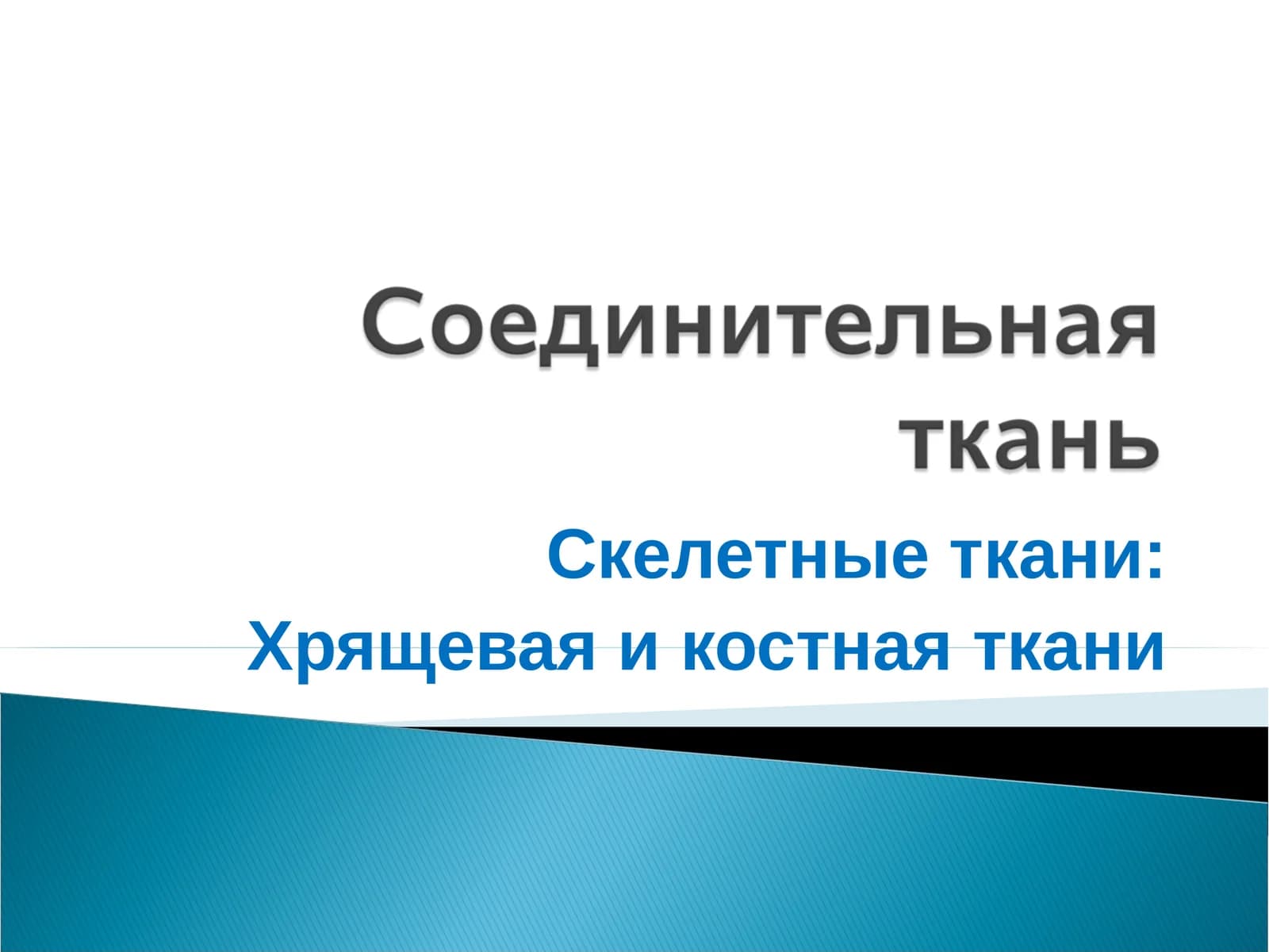Скелетные ткани: Хрящевая и костная ткани