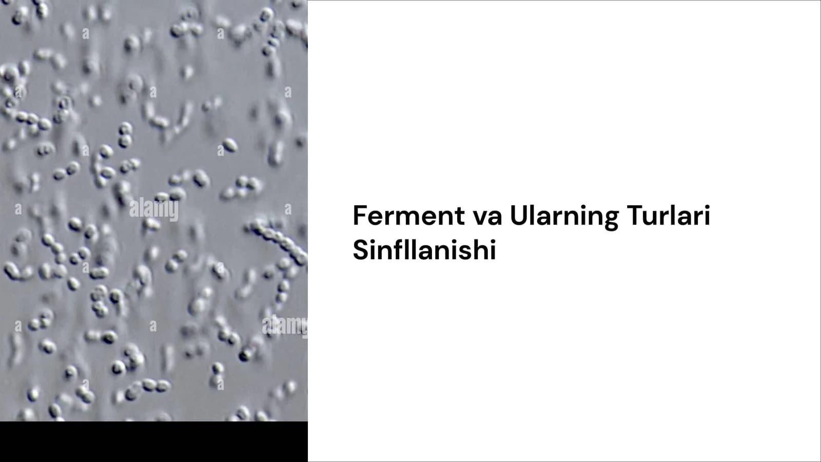 Ferment va Ularning Turlari Sinfllanishi