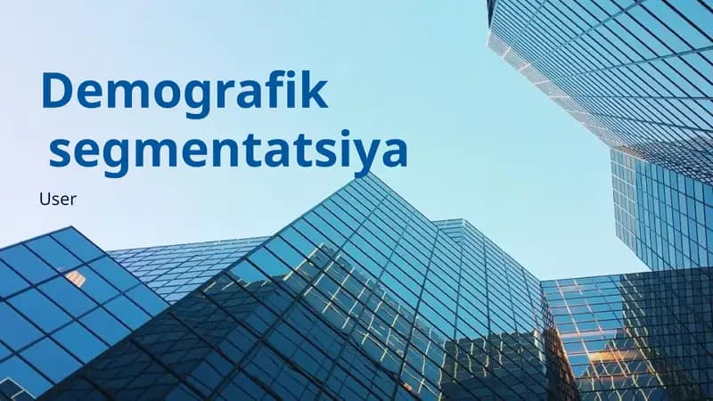 Demografik Segmentatsiya