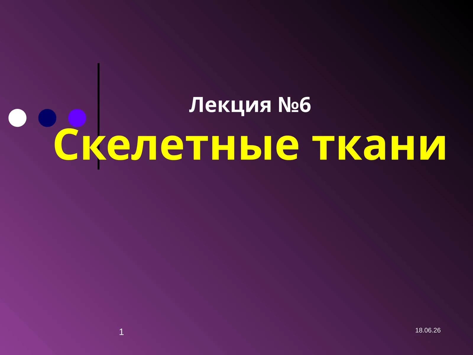 Лекция №6Скелетные ткани