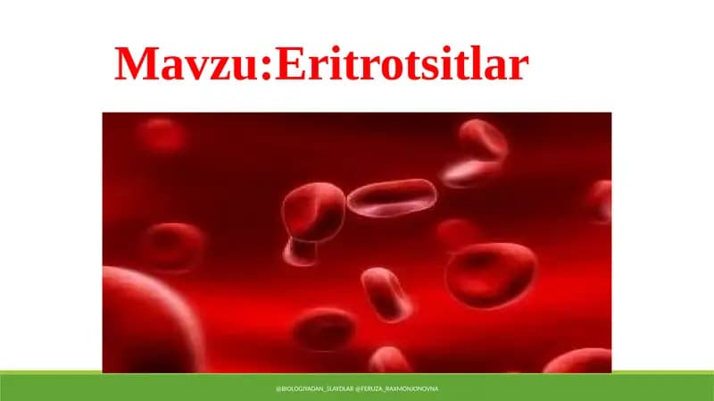 Eritrotsitlar