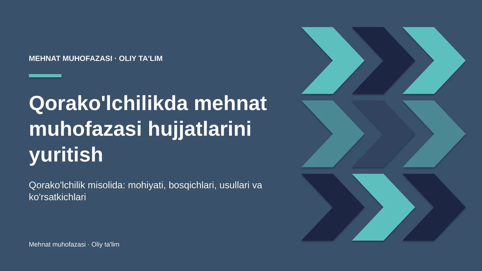 qorako'lchilikda mehnat muhofazasi hujjatlarini yuritish 1105