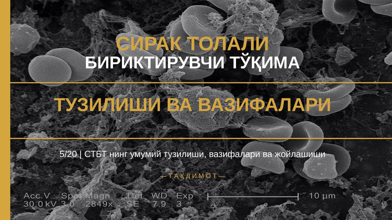 СИРАК ТОЛАЛИ БИРИКТИРУВЧИ ТЎҚИМА