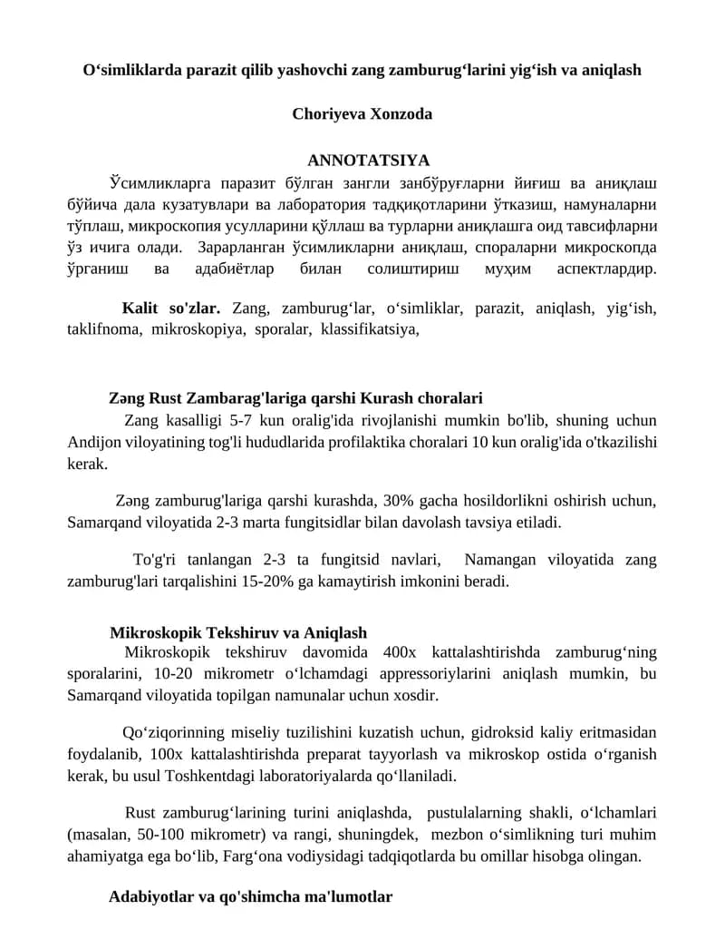 Zang Zamburugʻlari