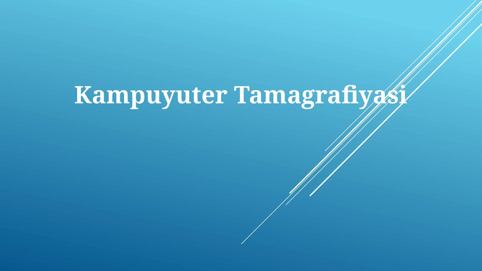 Kampuyuter Tamagrafiyasi