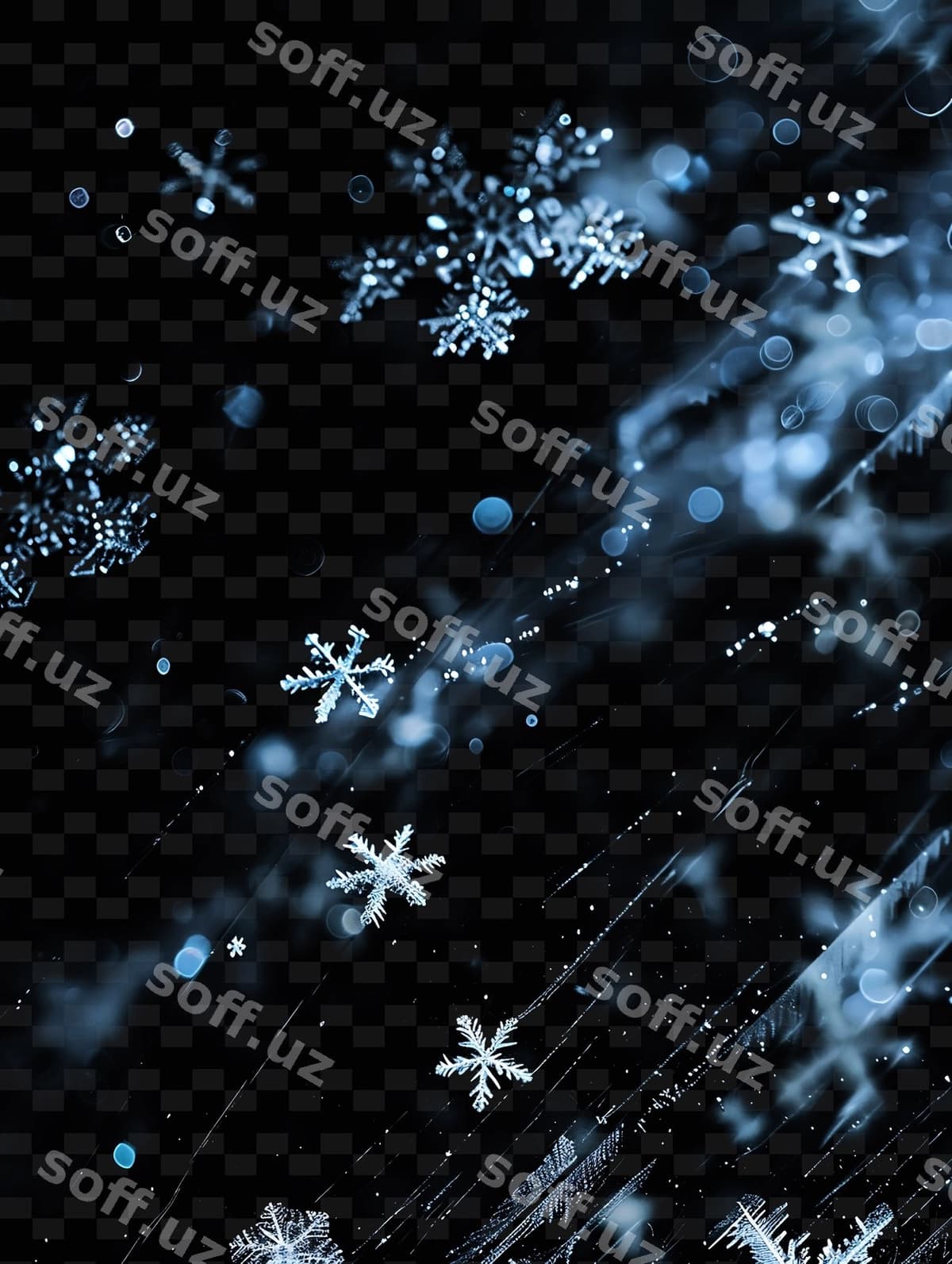 Qor bobolari qora orqa fonda | Snowflakes black background