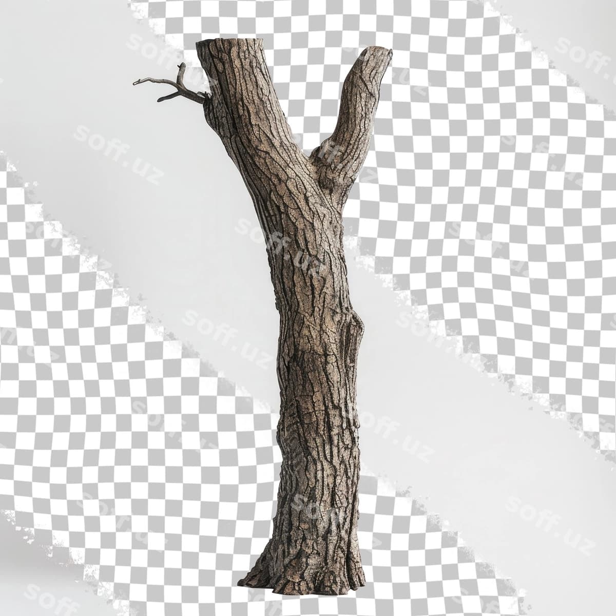 T harfi bor daraxt | Tree with word t it