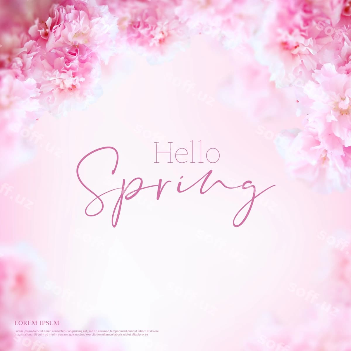 Oq ramka salom bahor banner | White frame hello spring banner