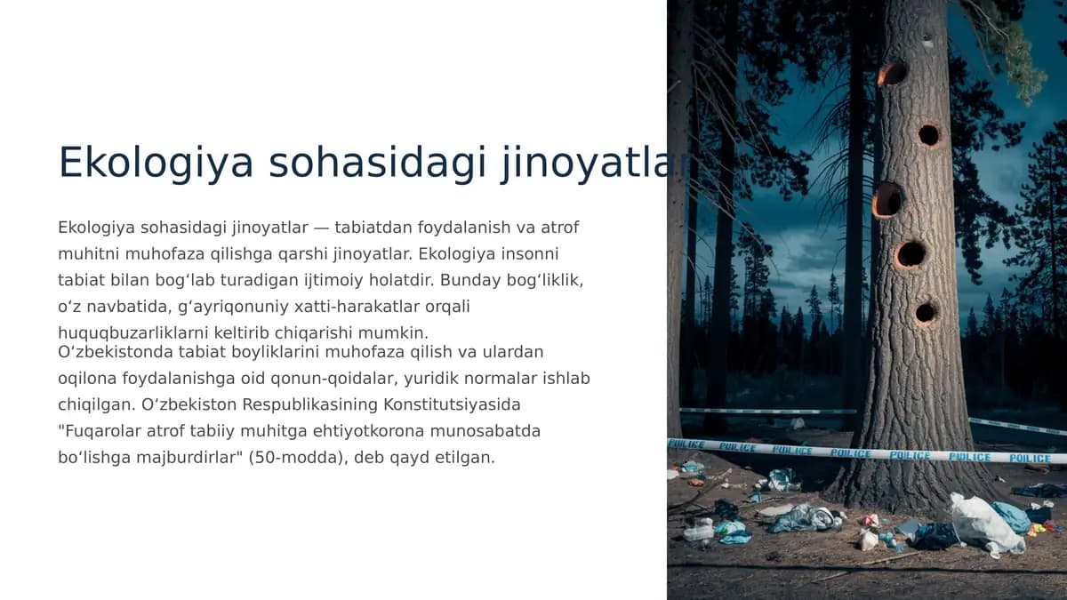 Ekologiya sohasidagi jinoyatlar