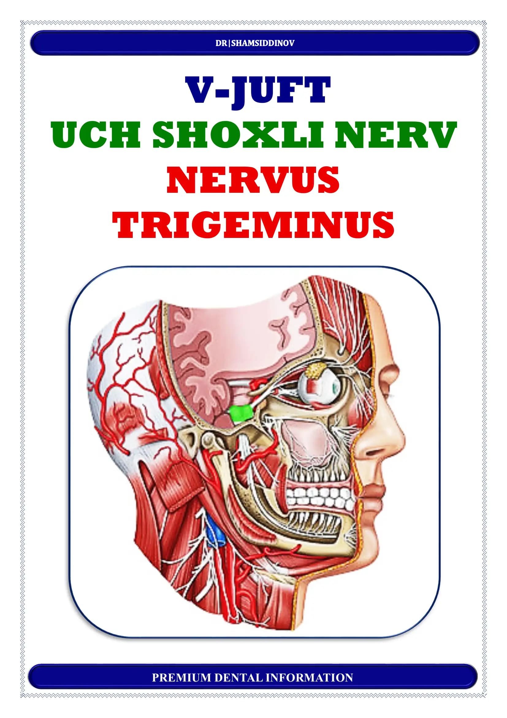 UCH SHOXLI NERV ANATOMIYASI