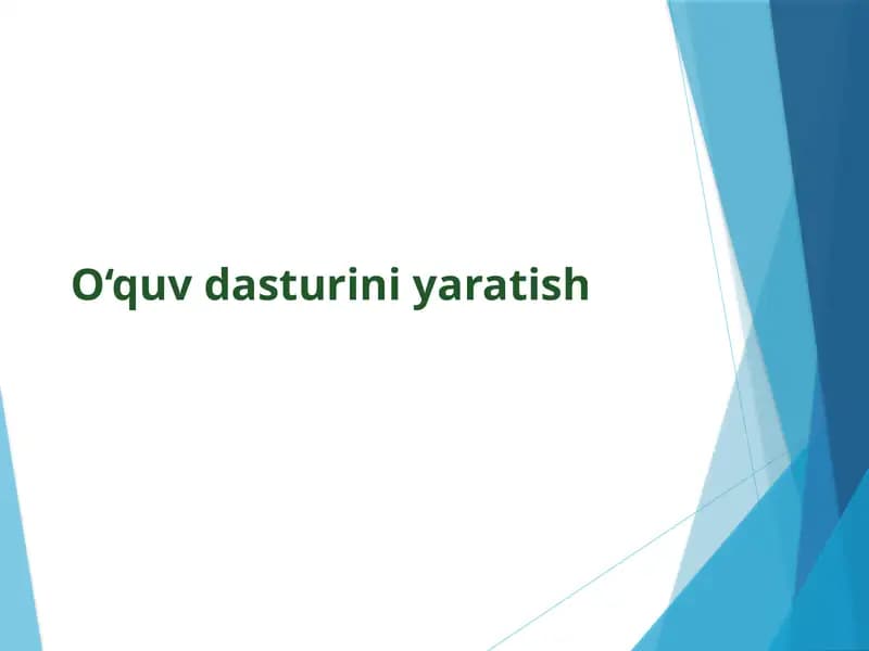 O‘quv dasturi
