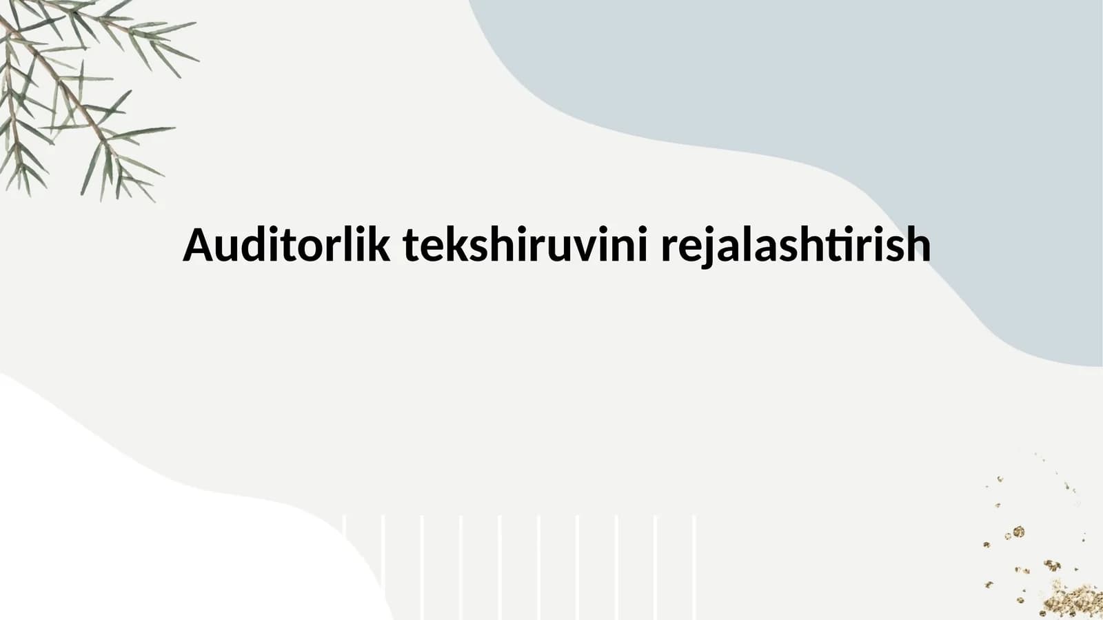 Auditorlik tekshiruvini rejalashtirish