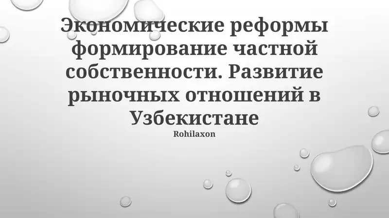 Развитие частной собственности и рыночных отношений в Узбекистане через экономические реформы