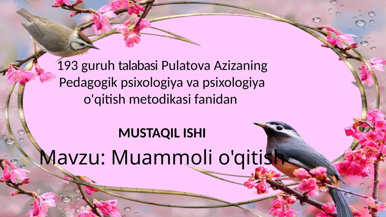 Muammoli o'qitish