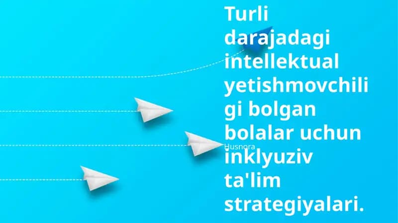 Inklyuziya muhitini yaratish, aqliy nogironligi bilan turli darajadagi bolalar uchun moslashuvchan o'quv rejalari va shaxsiylashtirilgan o'quv uslublari haqida Husnora mavzusidagi ma'lumotlar