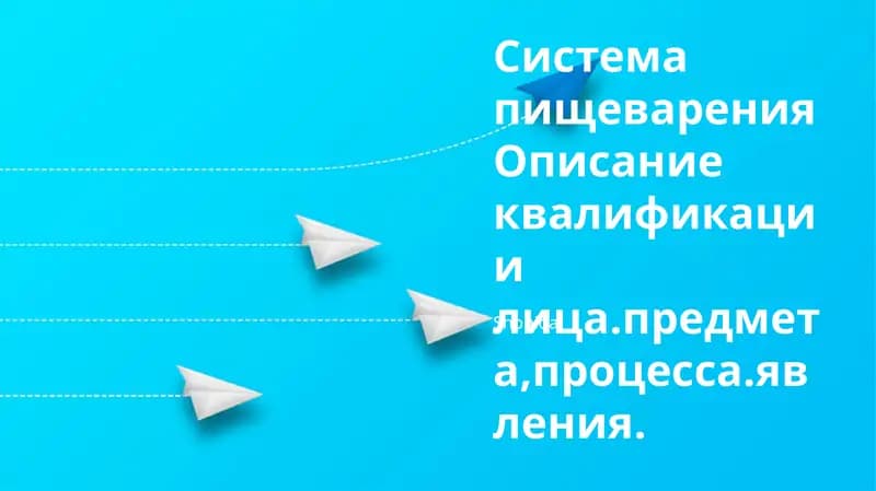 Система пищеварения: анатомия, физиология, заболевания, панкреатический сок